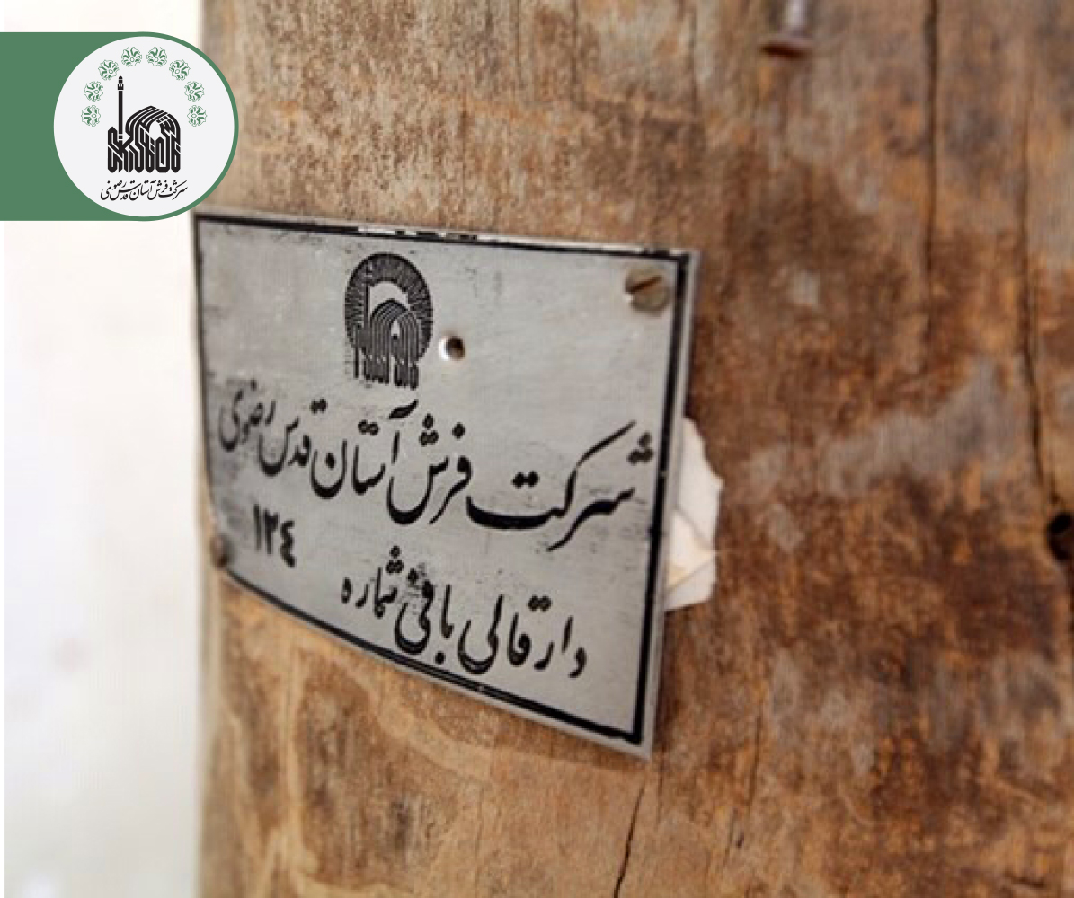 تصاویر قدیمی