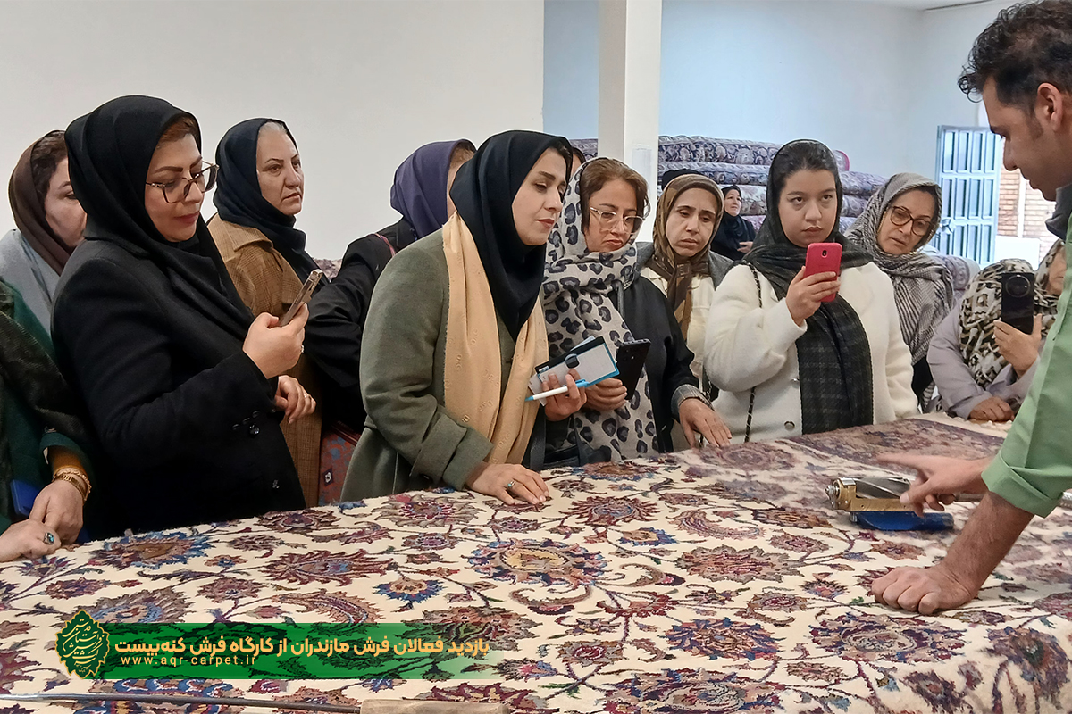 بازدید فعالان فرش مازندران از کارگاه فرش کنه‌بیست