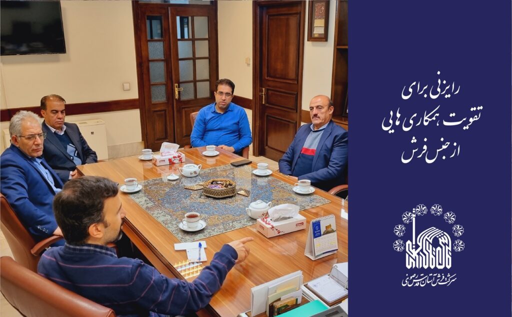 رایزنی برای تقویت همکاری‌هایی از جنس فرش