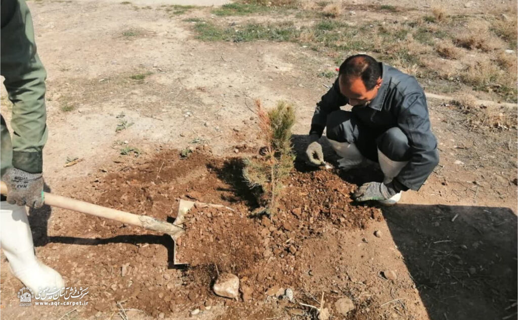 بنشانیم درخت